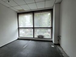 Lucky Plaza (D9), Shop House #593488561